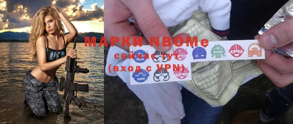 индика Новокубанск